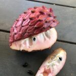 אנונה אדומה