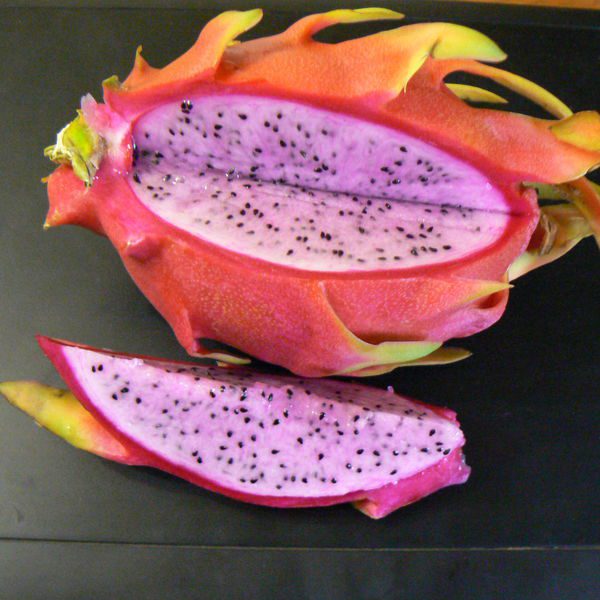 Hylocereusundatus פרי פיטאיה אדומה