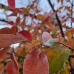 Whatsapp Image 2023 02 01 At 15.17.16.jpeg