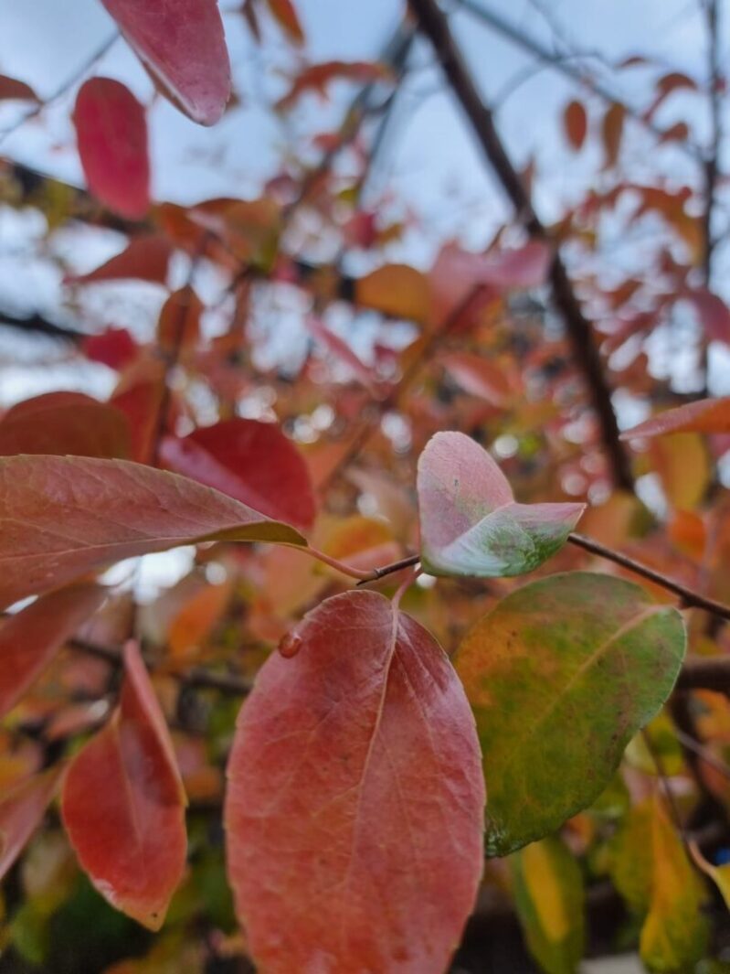 Whatsapp Image 2023 02 01 At 15.17.16.jpeg