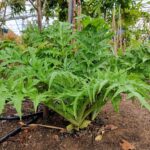 Whatsapp Image 2023 03 30 At 14.39.39