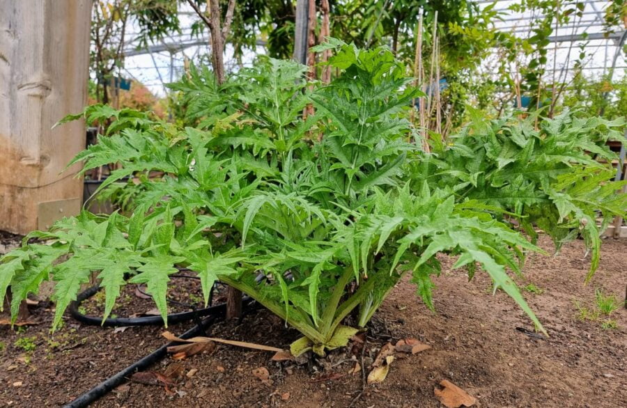 Whatsapp Image 2023 03 30 At 14.39.39