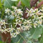 Whatsapp Image 2023 08 29 At 15.13.34