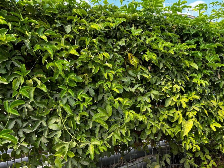 Whatsapp Image 2023 08 31 At 17.13.20