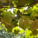 Whatsapp Image 2023 09 03 At 11.03.02