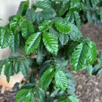 Whatsapp Image 2023 09 03 At 18.11.32