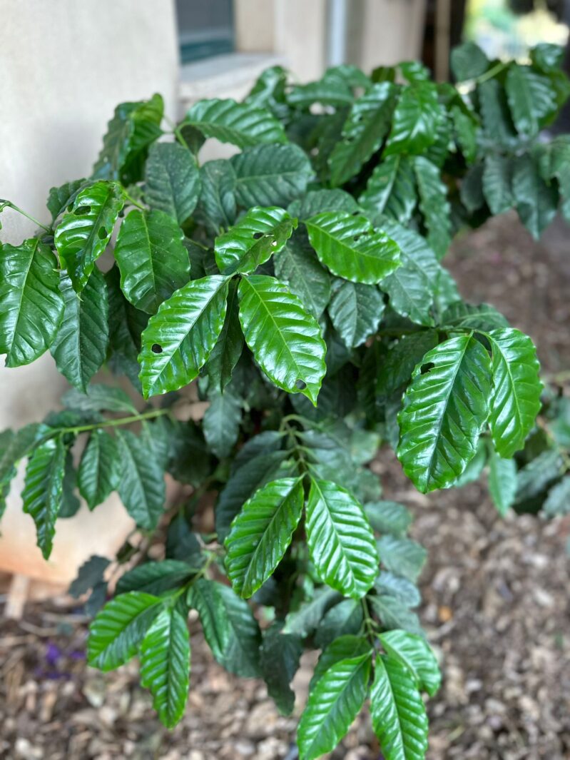 Whatsapp Image 2023 09 03 At 18.11.32