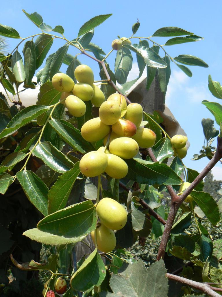 Whatsapp Image 2023 09 03 At 19.00.31