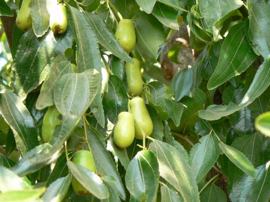 Whatsapp Image 2023 09 03 At 19.03.49