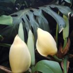 Whatsapp Image 2023 09 04 At 09.44.57(1)