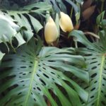 Whatsapp Image 2023 09 04 At 09.44.57(2)