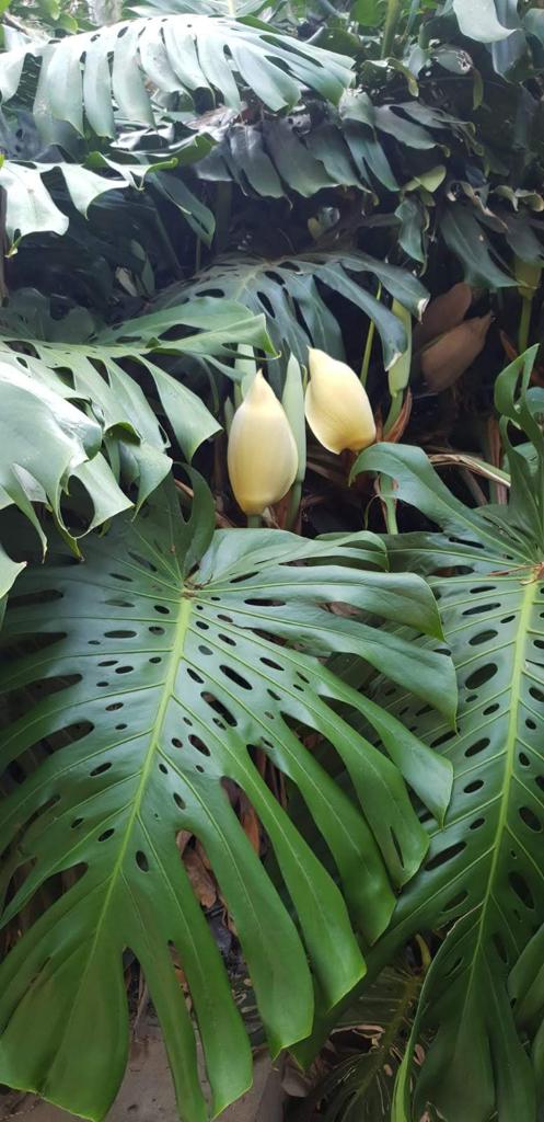 Whatsapp Image 2023 09 04 At 09.44.57(2)