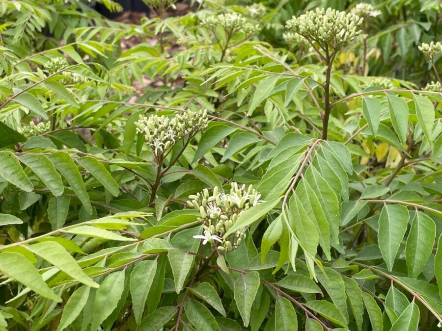 Whatsapp Image 2023 09 04 At 21.54.04