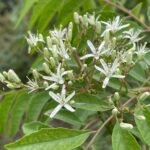 Whatsapp Image 2023 09 04 At 21.55.21