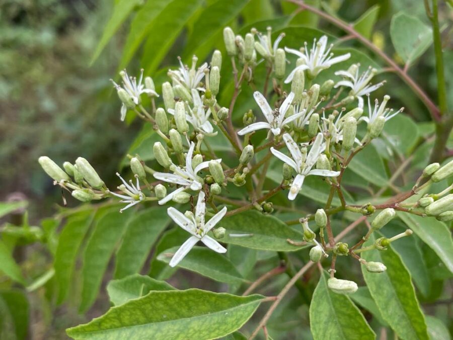 Whatsapp Image 2023 09 04 At 21.55.21