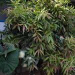 Whatsapp Image 2023 09 04 At 22.37.44