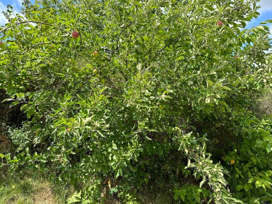 Whatsapp Image 2023 09 05 At 21.42.13