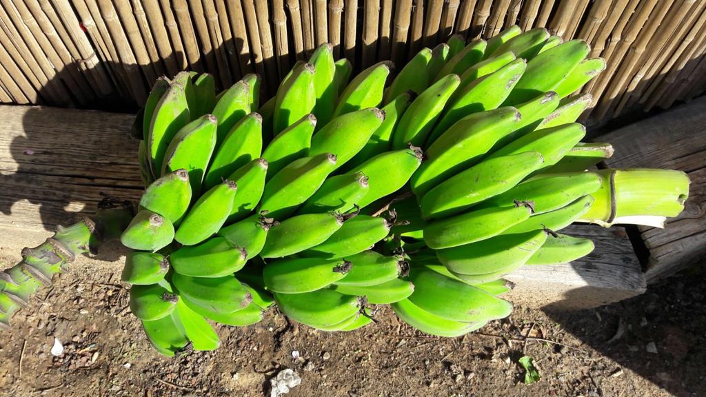 Whatsapp Image 2023 09 06 At 21.56.04