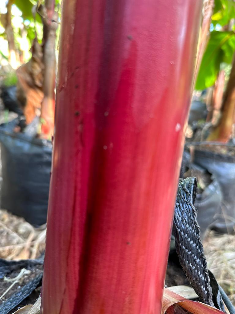 Whatsapp Image 2023 09 08 At 13.33.09(1)