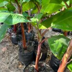 Whatsapp Image 2023 09 08 At 15.03.27