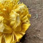 Whatsapp Image 2023 09 08 At 15.12.00