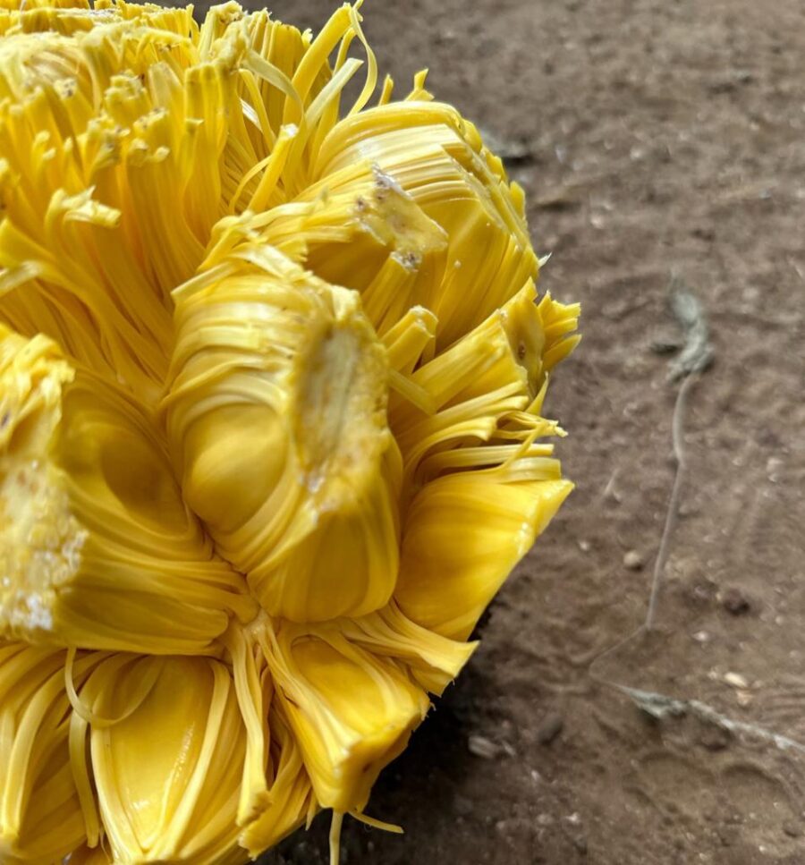 Whatsapp Image 2023 09 08 At 15.12.00