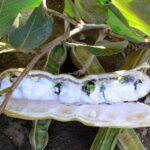 Whatsapp Image 2023 09 10 At 12.10.38