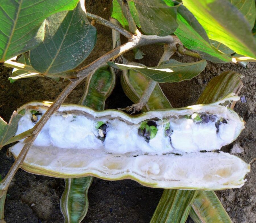 Whatsapp Image 2023 09 10 At 12.10.38