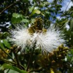 Whatsapp Image 2023 09 10 At 12.12.20