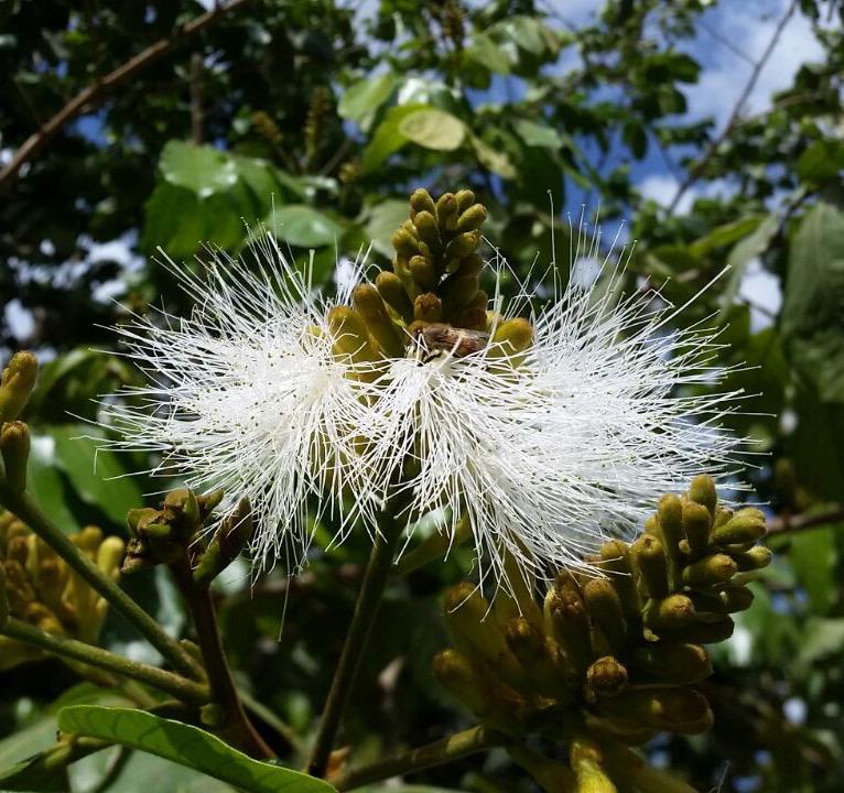 Whatsapp Image 2023 09 10 At 12.12.20