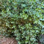 Whatsapp Image 2023 09 10 At 15.00.30