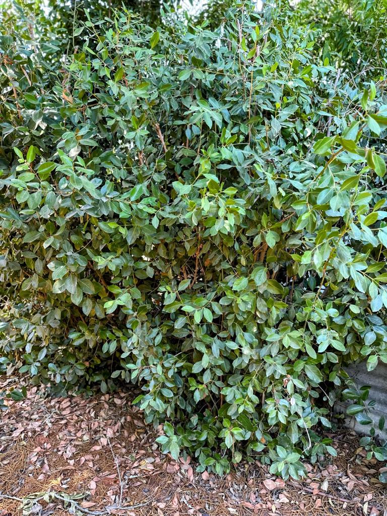 Whatsapp Image 2023 09 10 At 15.00.30