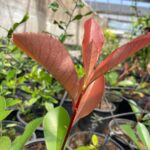 Whatsapp Image 2023 09 10 At 15.00.58