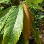 Whatsapp Image 2023 09 11 At 20.37.41