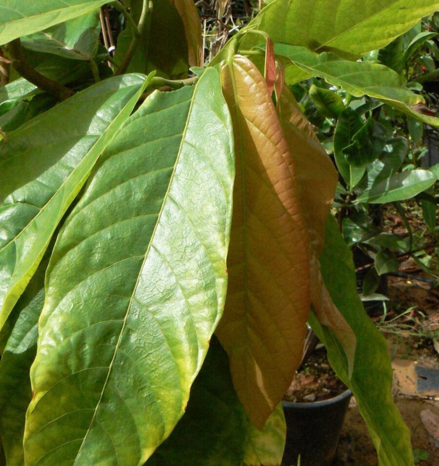 Whatsapp Image 2023 09 11 At 20.37.41