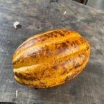 Whatsapp Image 2023 09 11 At 20.41.05