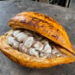 Whatsapp Image 2023 09 11 At 20.42.01