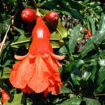 Whatsapp Image 2023 09 12 At 11.23.11