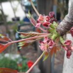 Whatsapp Image 2023 09 12 At 12.50.36