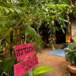 Whatsapp Image 2023 09 14 At 09.13.09