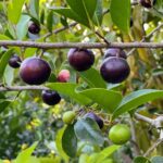 Whatsapp Image 2023 09 16 At 12.00.53