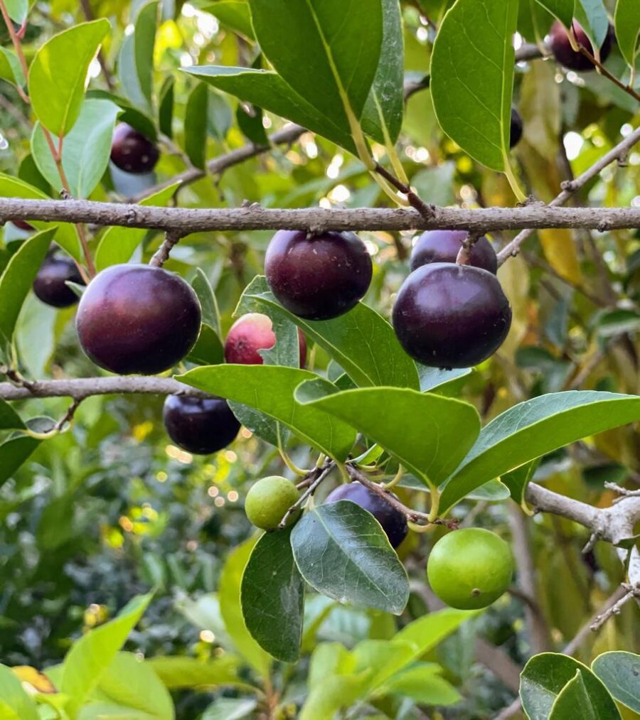 Whatsapp Image 2023 09 16 At 12.00.53