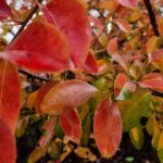 Whatsapp Image 2023 09 16 At 12.02.53