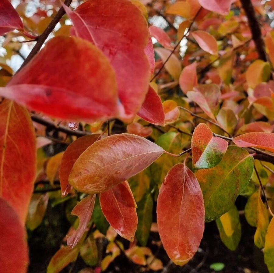 Whatsapp Image 2023 09 16 At 12.02.53