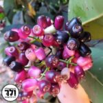 Whatsapp Image 2023 09 16 At 12.33.00