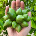 Whatsapp Image 2023 09 16 At 13.33.05