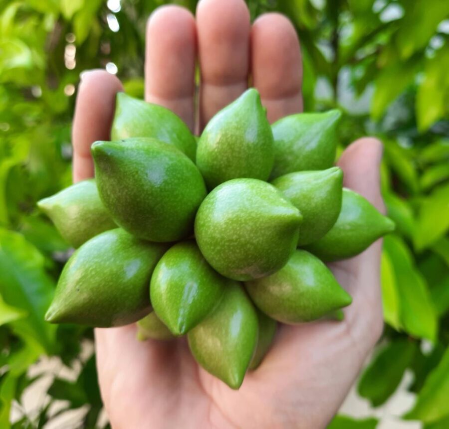 Whatsapp Image 2023 09 16 At 13.33.05