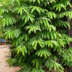 Whatsapp Image 2023 09 16 At 13.34.28