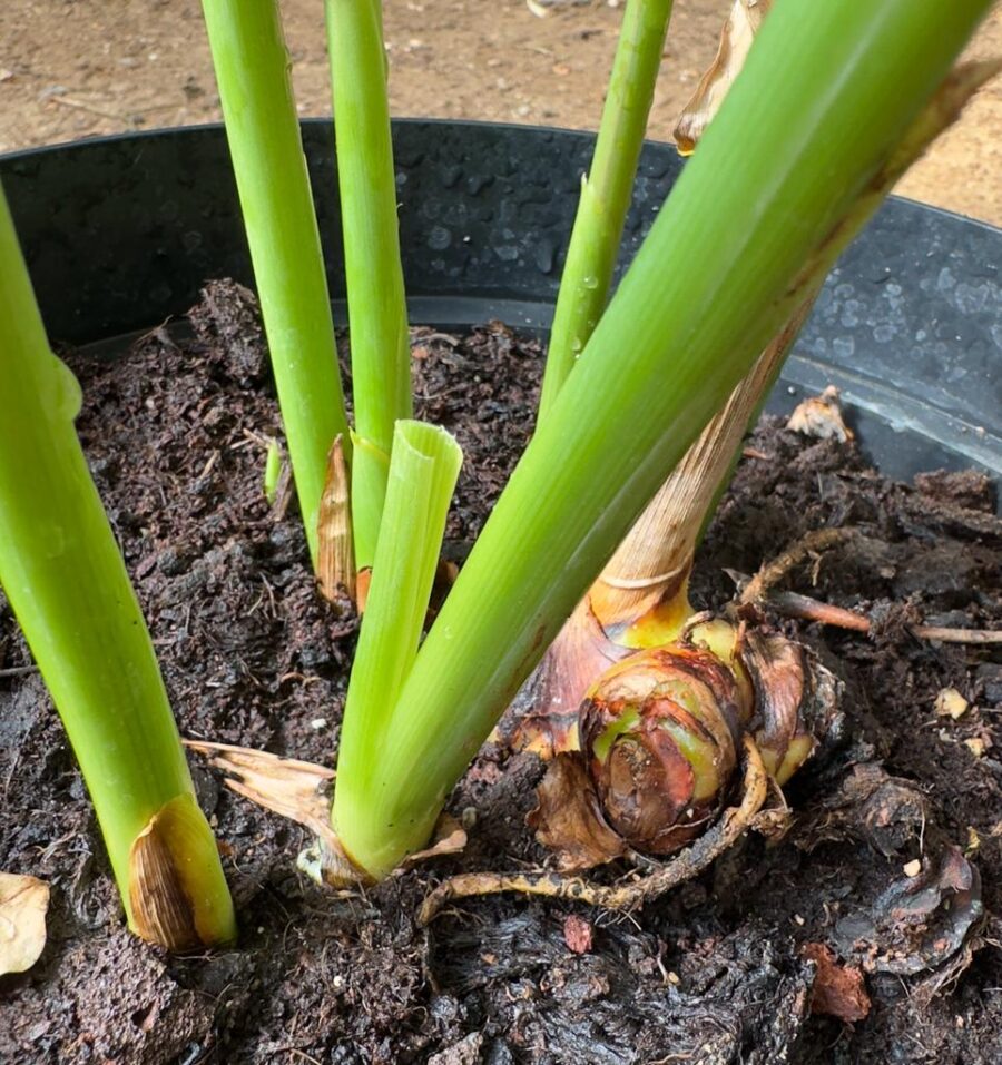 Whatsapp Image 2023 09 18 At 15.25.54