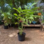 Whatsapp Image 2023 09 18 At 15.27.24